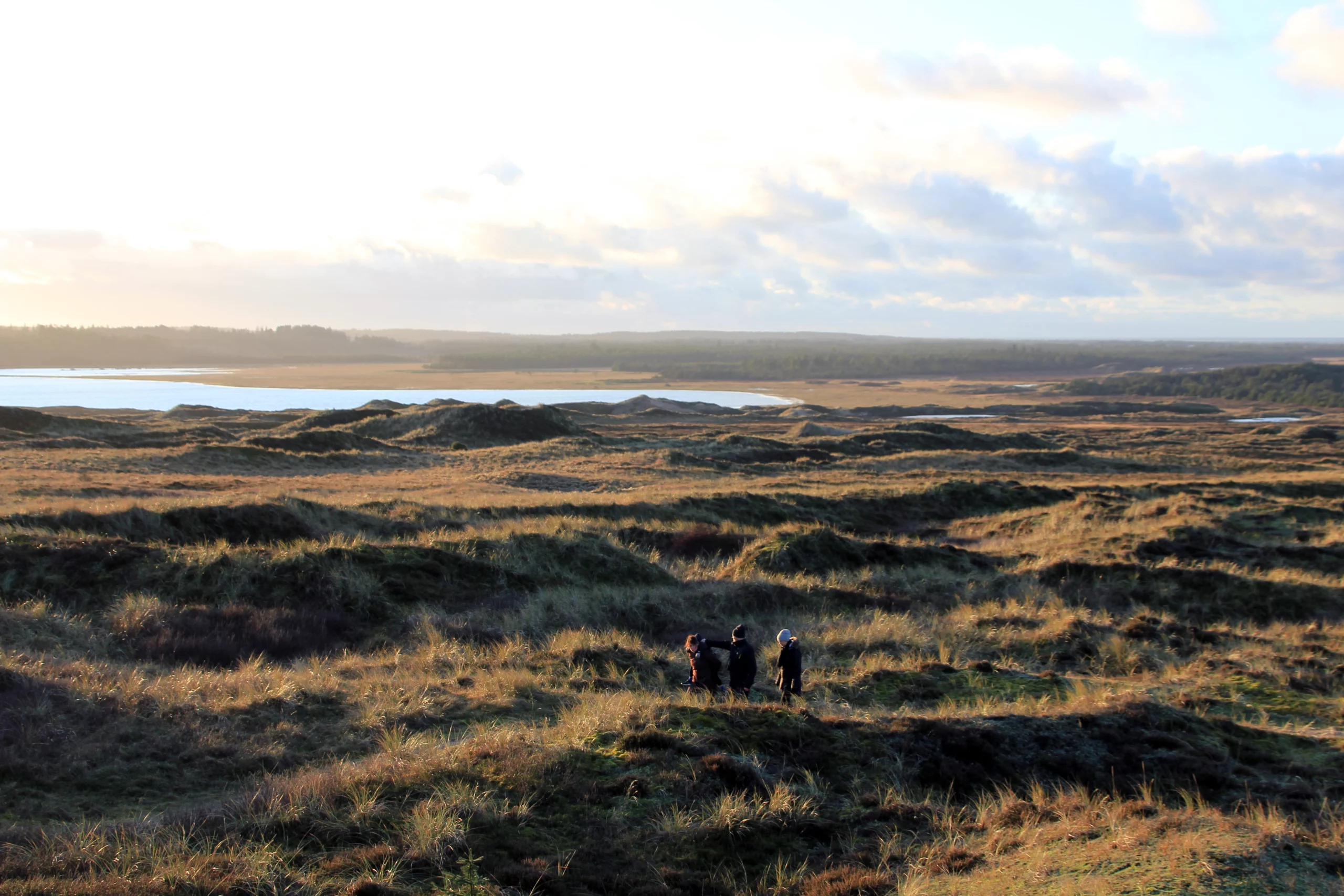 Thy, efterår, storslået natur, thyboogco