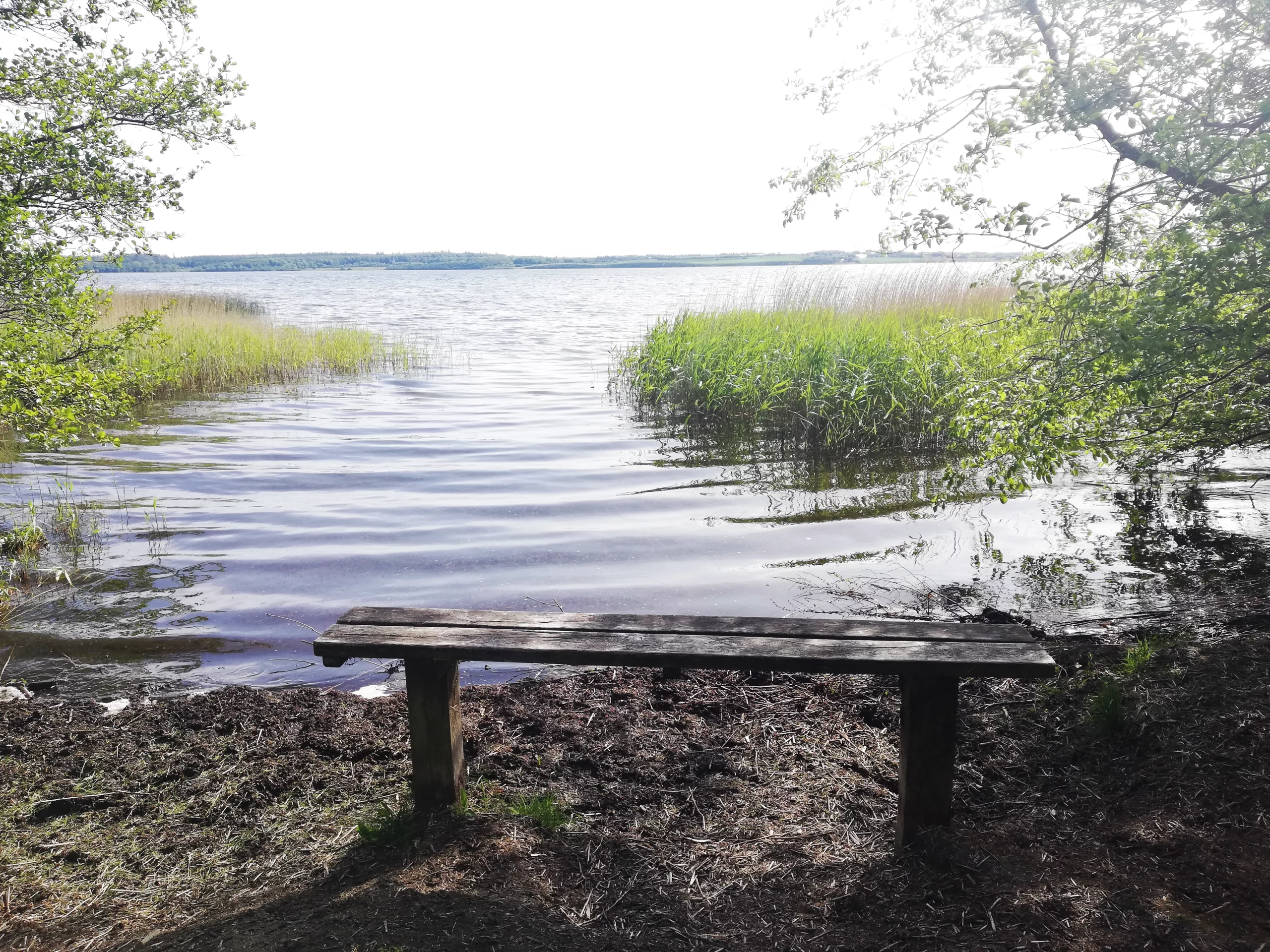 Thy, sø, bænk i skygge, sommer, thyboogco